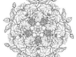 You can use our amazing online tool to color and edit the following lotus coloring pages. Lotus Mandala Printable Coloring Page Freebie Supply