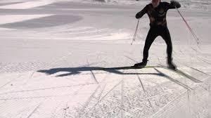 We did not find results for: The Elements Of Cross Country Skiing Skate Skiing Nordic Skiing Cross Country Skiing Skiing Training