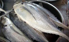 Ini senarai makanan dalam pantang yang ibu perlu lebih teliti sama ada boleh atau tidak boleh diamalkan ketika berpantang kerana ia boleh beri kesan. Tak Sangka Rupanya 5 Jenis Ikan Ini Dikatakan Penyebab Gatal Dan Angin Badan