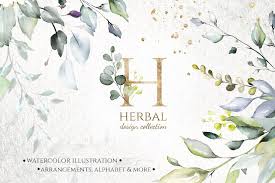 Herbal Design Collection Watercolor Leaves Herbs This Set Include 100 Images 2 Png Floral Arrang Watercolor Leaves Herbs Illustration Illustration