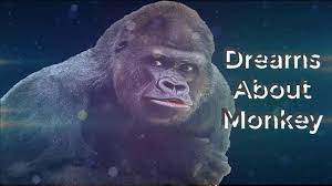 Dreams About Monkey Dreams Meaning And Interpretation Dream Meanings Dream Dream Interpretation