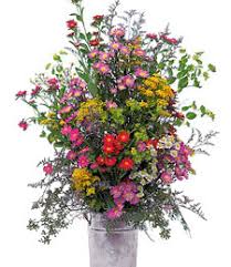 Maybe you would like to learn more about one of these? North Fort Myers Fl Florists Flower Shop Directory
