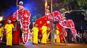 Kandy Day Tour from Hikkaduwa: Perahera Festival & Pinnawala Elephant Orphanage - Green Holiday Travels