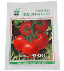 We did not find results for: Tomato Ns 4266 Namdhari