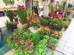 Every year is represented by a zodiac animal sign. 4 Ways To Nurture Your Child S Love For Chinese This Lunar New Year