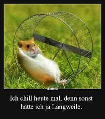 Bild zum verschicken | mehr frohe ostern bilder. Ich Chill Heute Mal Denn Sonst Hatte Ich Ja Langweile Lustige Bilder Spruche Witze Echt Lustig Chillen Spruche Lustig Spruche Tiere