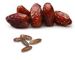 Reasons To Stop Wasting Date Palm Seeds Proven Health