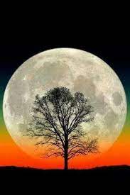 Most beautiful picture july 6, 2019. Pin By Anna Buchenau On Beautiful Moon Sunsets Moonrise Set Sunrise Sunset Big Moon Beautiful Moon Moon Pictures