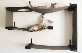 Shop for all of your cat furniture needs on chewy.com. Diy Cat Shelves Easy To Follow Guide Expert S Advice