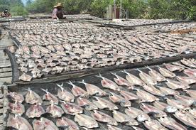 Cari kualitas tinggi kartun badut ikan produsen dan kartun. Gambar Ikan Asin Kartun Gambar Ikan Hd