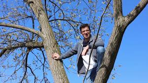 Die Heimische Sal Weide Palmkatzchen Salix Caprea Youtube