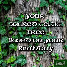 Birthstones Zodiacs And Celtic Tree Astrology Irish