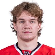 Vladimir Petrov, hockey player: statistics, KHL matches, news