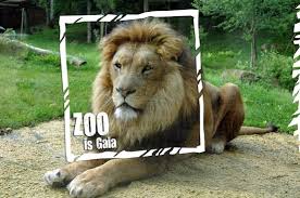 Akasha is the unmanifested, the nothing or emptiness that fills the vacuum of space. Gaiazoo Kerkrade Aktuelle 2021 Lohnt Es Sich Mit Fotos Tripadvisor