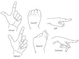 Human Anatomy Fundamentals How To Draw Hands I can actually draw lines with finger in my app using the fingerpaint in api demos given in samples of android sdk. human anatomy fundamentals how to draw