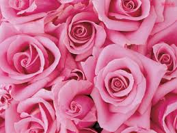 With a diverse wholesale craft selection online, thousands of craft, scrapbooking and card making supplies and friendly service, couture creations is australia's favourite scrapbooking, card making and crafts industry supplier. Pin By On Pink Pink Flowers Pink Flowers Background Pink Flower Pictures
