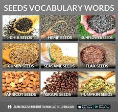 Pin By Evelyn Jiang On Aprender Ingles Learn English Food Vocabulary Hello English