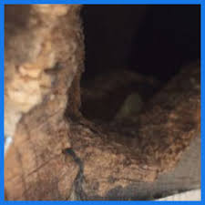 Power attic ventilators are your best overall investment in attic ventilation. Insulation Contractor Rodent Proofing Nj Pa Master Attic