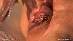 Bee Sting (77 photos) - porn ddeva