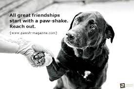Pin On More Specific Dogs