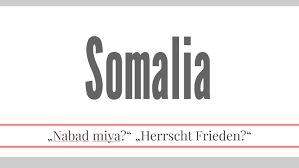 Somaliland national disability federation (sndf), a consortium of disabled people's organizations in somaliland in collaboration with abilis foundation have organized a two day workshop entitled. Somalia By Emil Schule Nabad Miya