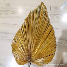 Check spelling or type a new query. Daun Kering Shopee Indonesia