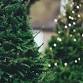 North Lake Tree Lighting event in Hartland, WI