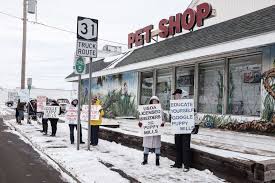 Pet supplies plus® sms terms of use. Protest Held At Pets Plus Local News Lockportjournal Com