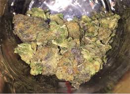 Its parents are both among the most popular strains in the world and for good reasons. Photos Of Cookie Monster Weed Strain Buds Leafly