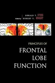 Image result for Frontal Lobe