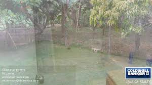 Milton Cameron Realtor