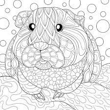 Der begriff mandala stammt aus dem indischen und bedeutet soviel wie kreis. Ausmalbild Meerschweinchen Mandala 33 Meerschweinchen Zum Ausmalen Besten Bilder Von Ausmalbilder Meerschweinchen Sind Gut Darin Sich Selbst Sauber Zu Halten Aber Du Konntest Deines Baden Mussen Dein Meerschweinchen Wird Wahrscheinlich