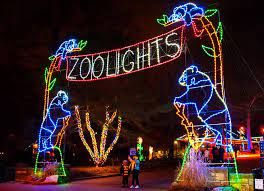 2021 Christmas Lights In Jacksonville Jacksonville Beach Moms Zoo Lights Jacksonville Zoo Holiday Lights