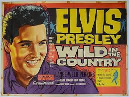 Tom Chantrell Paintings & Artwork for Sale