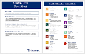 Aufbau handout vorlage word : Fact Sheet Templates 16 Free Printable Templates My Word Templates