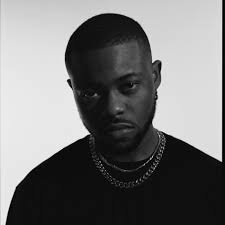 Salaam Remi: albums, songs, playlists