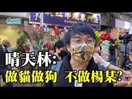 野生捕獲 晴天林唱live 做隻貓做隻狗不做楊明 賓州搖擺州 侵侵被侵犯 晴天林嬲到瞓唔著 不過獲林夕欽點唱 兒歌 都好受鼓舞