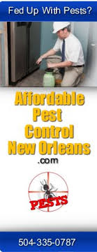Since 1988, affordable pest control inc. Affordable Pest Control New Orleans Home Facebook