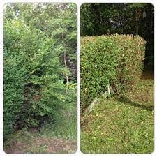 Pin On Before After