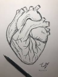Human heart drawing color and label basic diagram books charcoal. Human Heart Drawing Easydrawing Dibujar Arte Arte Del Bosquejo Como Dibujar En 3d