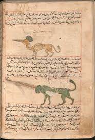 the wonders of creation viewer world digital library creation vintage world maps islamic world
