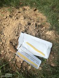 However, they can also be located in trees or larger concrete cracks. How To Get Rid Of Moles In Your Yard And Garden