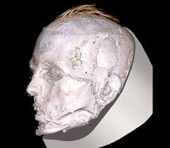 Image result for Kotschya scaberrima