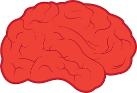 Our toys have appeared in usa today, consumer reports, real simple, the new york times, and on nbc's today show and abc's good morning america. Download Mind Clipart Simple Brain Pencil And In Color Mind Neurologie Png Png Image With No Background Pngkey Com