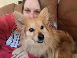 Does anyone have a shipomchi or similar mix?