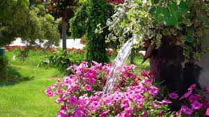 All credit to owners creations. Landscaping Ideas For Small Flower Gardens Garden Design Stock Video Footage 4k And Hd Video Clips Shutterstock