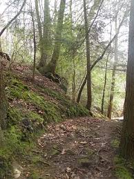 Henry david thoreau's famous nonfiction classic. 23 Walden Thoreau Ideas Thoreau Thoreau Quotes Walden Thoreau