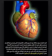 صورة و أية القلب Miracles Of Quran True Words Islam Quran