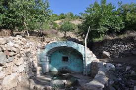 Ã§eÅŸme oluÄŸu ile ilgili gÃ¶rsel sonucu