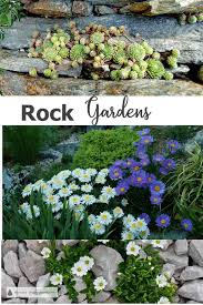 Check spelling or type a new query. Rock Gardens Crevice Gardens Cliffs And Screes